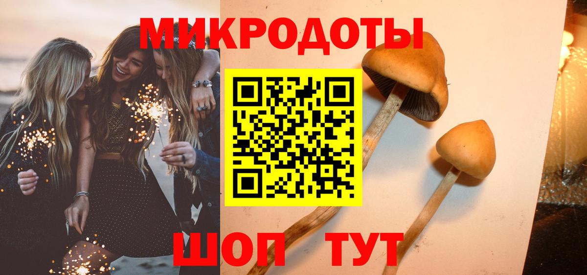 Псилоцибиновые грибы Psilocybe  Вход с VPN  Ростов Великий  Галлюциногенные грибы мицелий 